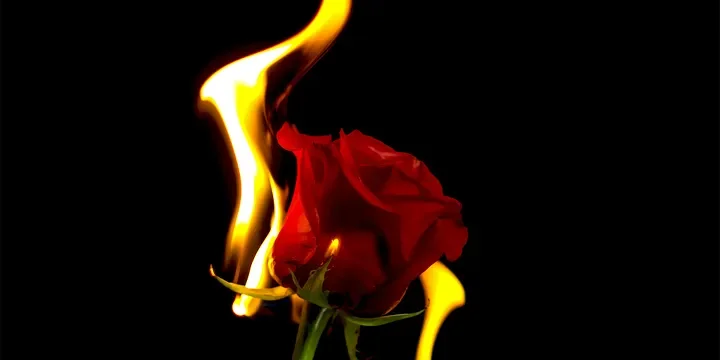 Featured image of post People with Deep City Mansion Often Act Indifferently and Should Not Be Deeply Bonded