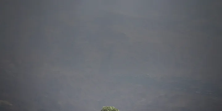 Featured image of post Over 50? Focus on These Three Things to Avoid a Lonely Old Age