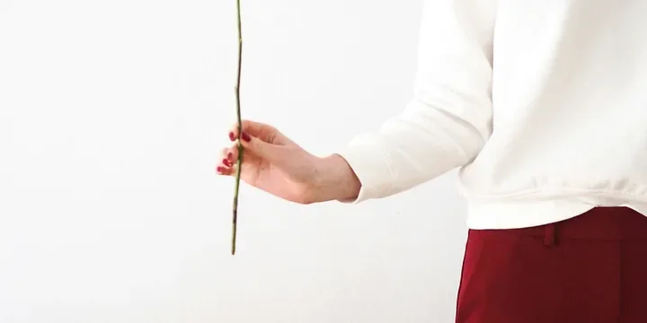 Featured image of post Don’t Share These Three “Secrets” with Anyone, or You’ll Suffer the Consequences