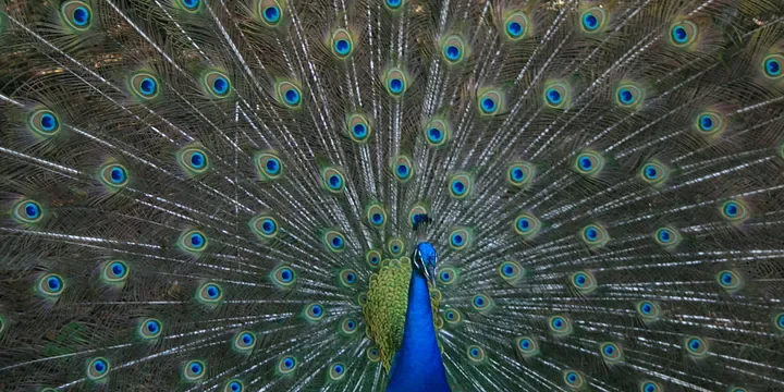 Featured image of post Middle-aged people who show off these three things often have no real skills