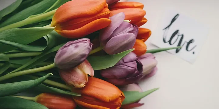 Featured image of post Keeping Love Fresh: Women Should Pay Attention to These 4 Points!