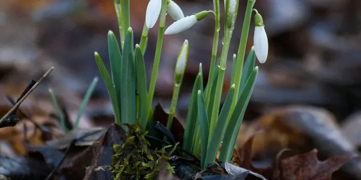 Featured image of post Going Through a Low Point is Not a Bad Thing, Doing it Right is a Rebirth