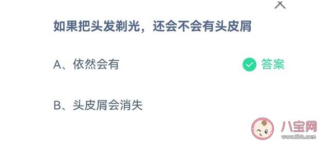 蚂蚁庄园头发剃光还会不会有头皮屑 9月15日正确答案