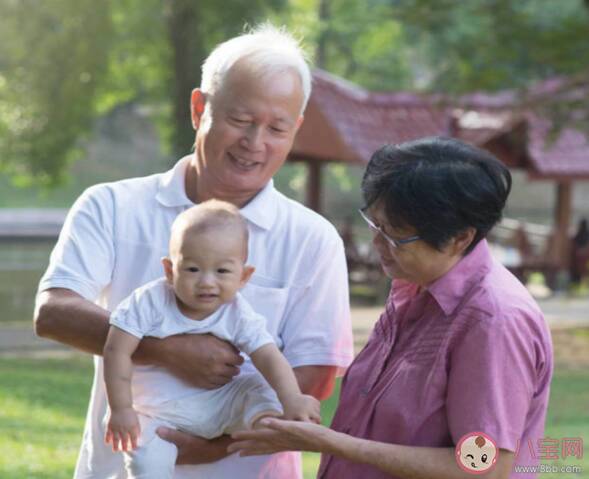 带孙子和不带孙子的老人晚年谁更幸福 老年人带娃放心吗