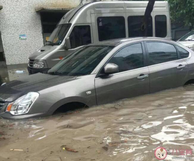 泡水车或流向二手市场 怎么避免买到泡水车