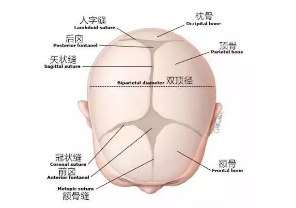 宝宝囟门能见风吗 宝宝囟门见风会有什么问题