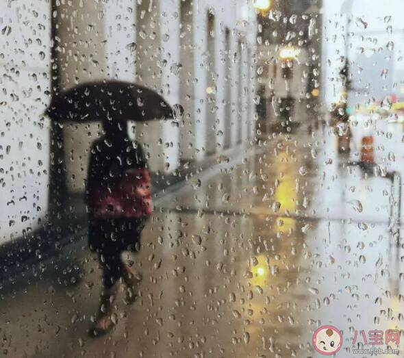 形容下暴雨的宝藏句子 适合写进作文的下雨句子