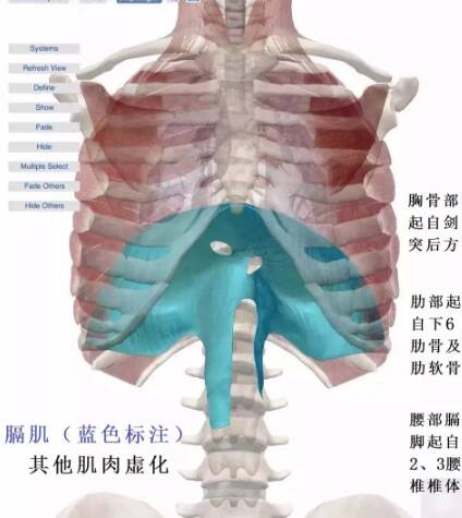 颈肩综合症有什么症状 颈肩痛用什么方法治疗好呢