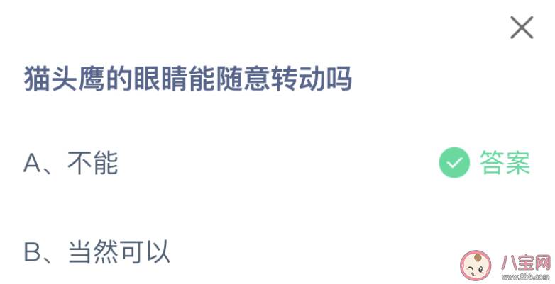 蚂蚁庄园猫头鹰的眼睛能随意转动吗 1月18日答案最新