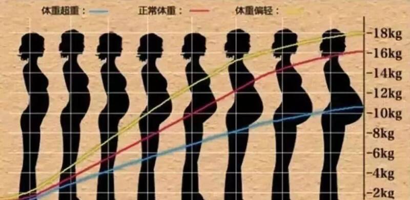 怀孕应该增加多少斤?怀孕7个月的胎儿有多少斤?