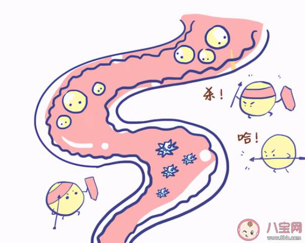 怎么吃会让肠道越来越堵 肠道健康有多重要