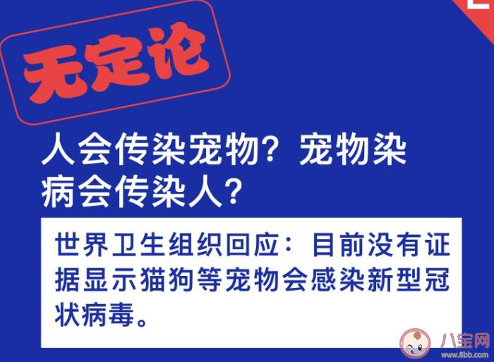 宠物会感染新型肺炎吗 家里有宠物会不会感染新型肺炎 新型肺炎有宠物家庭怎么做