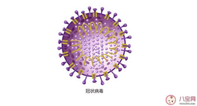 新型冠状病毒康复痊愈后会二次感染吗 新型冠状病毒肺炎治愈后能终生免疫吗