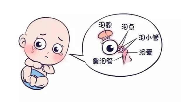 孩子的眼屎多正常吗 孩子眼屎多是不是泪囊炎