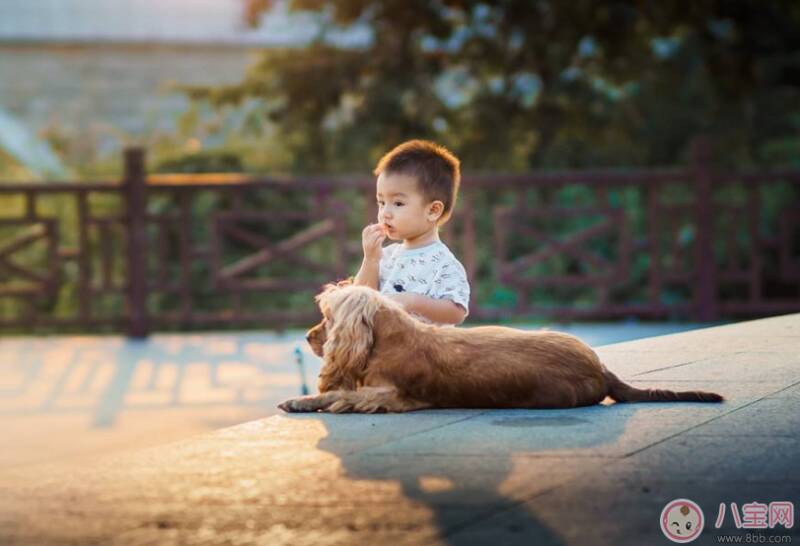 孩子长大了懂事了感言 孩子长大了父母感慨说说朋友圈