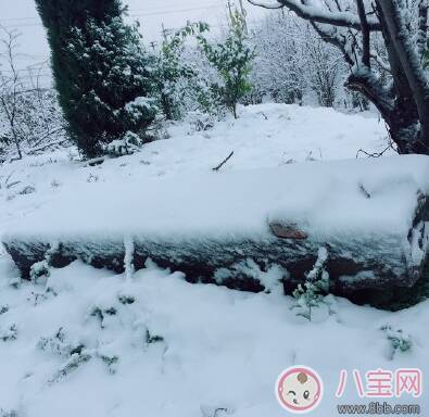 下雪火车动车停运怎么发朋友圈 下雪不能回家的心情句子说说