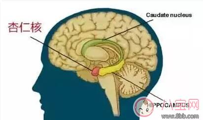 不顺着孩子他就撒泼 孩子胡搅蛮缠怎么办