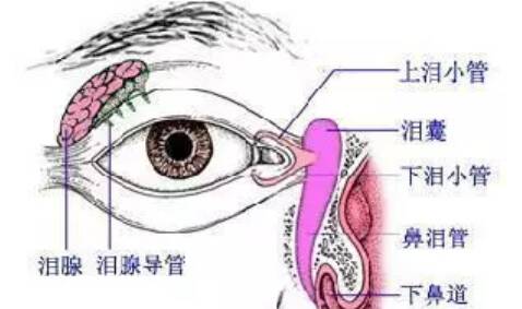 宝宝先天性泪囊炎需要泪道冲洗吗 宝宝先天性泪囊炎怎么做泪道按摩