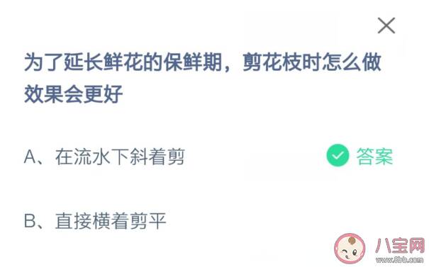 延长鲜花保鲜期剪花枝时怎么做效果会更好 蚂蚁庄园9月14日正确答案