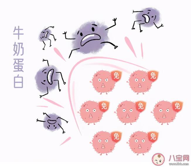 牛奶蛋白过敏和乳糖不耐受区分重点 分别怎么解决