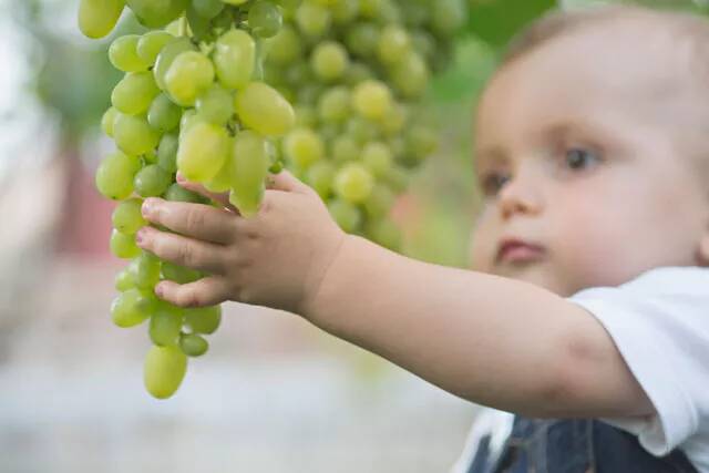 孩子玩耍的时候忘记上厕所怎么办 孩子玩的时候就尿裤子解决方法2022