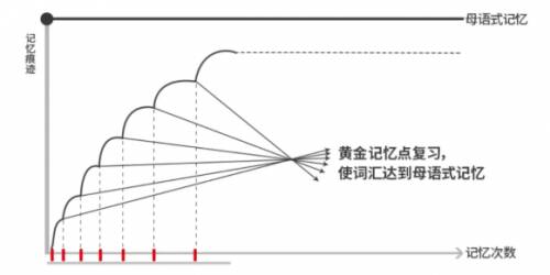 红杉树小红本带你走进英语单词的记忆