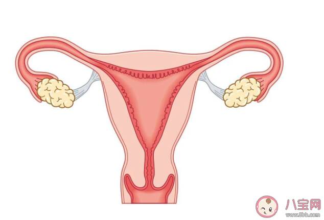 卵巢衰老的信号有哪些 如何预防里卵巢早衰