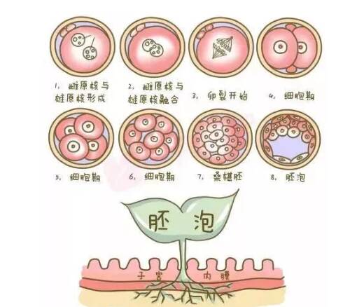 生化妊娠可以保胎吗 生化妊娠保胎的宝宝不健康吗