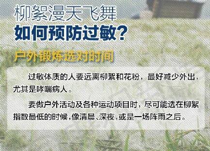 柳絮中存在新冠病毒吗 面对柳絮应该怎么做