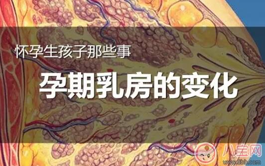 怀孕乳房有肿块是怎么回事 怀孕乳房肿胀是什么原因