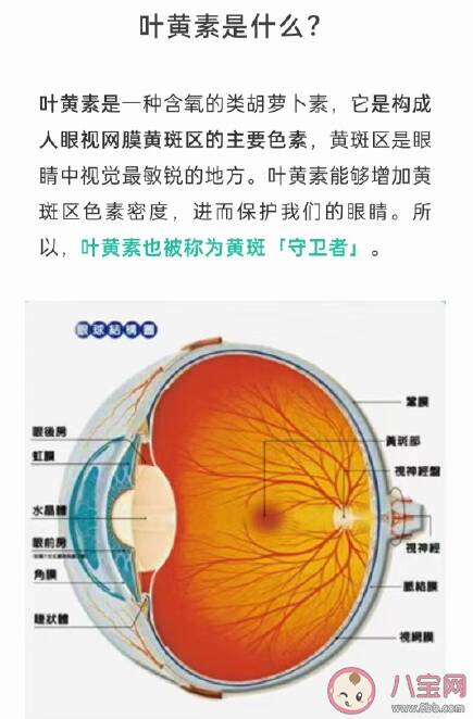 叶黄素是护眼神药吗 叶黄素哪个品牌好怎么挑选