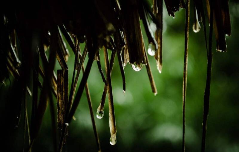 天气凉凉的说说短句 秋天天气凉爽说说朋友圈