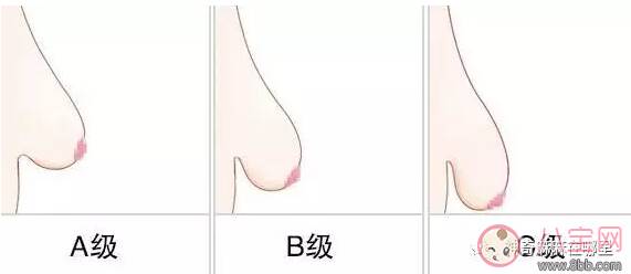 喂奶会让胸部变小吗 哺乳后胸部变丑怎么办