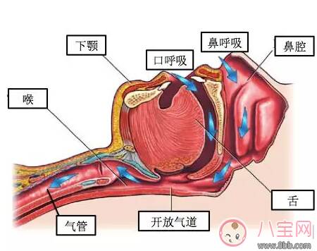 孩子睡觉的时候张口呼吸是什么原因 为什么会出现孩子张口呼吸的情况