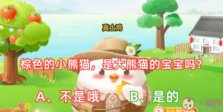 棕色的小熊猫是大熊猫的宝宝吗 蚂蚁庄园4月29日答案