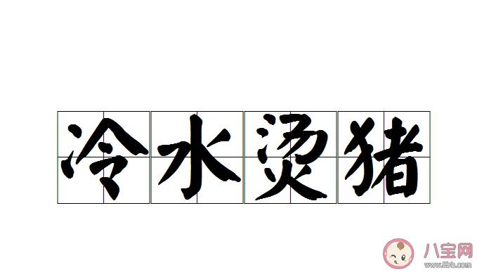 蚂蚁庄园成语冷水烫猪是形容什么的 10月16日正确答案