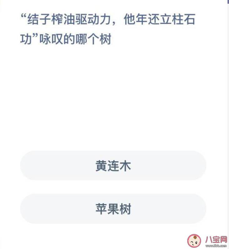 结子榨油驱动力他年还立柱石功咏叹的哪个树 蚂蚁新村1月2日答案解析