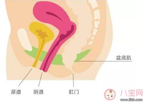 老公觉得你松了怎么办 怎么让那个地方紧起来