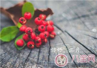 2月走了迎接3月的句子 迎接3月的带图心情说说