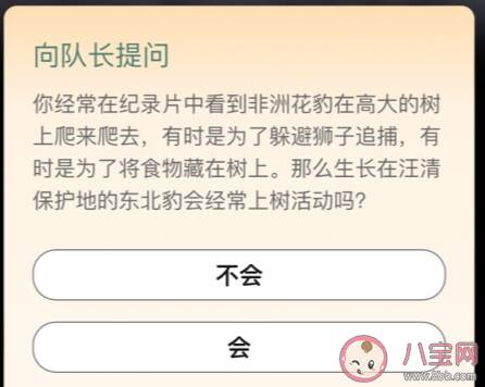 生长在汪清保护地的东北豹会经常上树活动吗 汪清保护地巡护答案