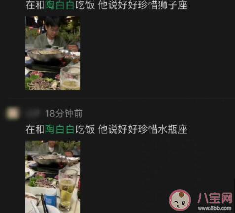 在和陶白白吃饭是什么梗 在和陶白白吃饭为什么火了