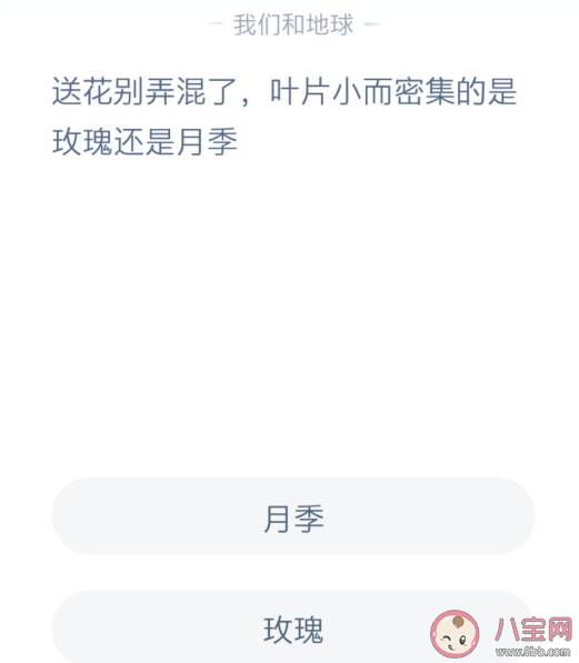 叶片小而密集的是玫瑰还是月季 蚂蚁庄园12月1日答案解析