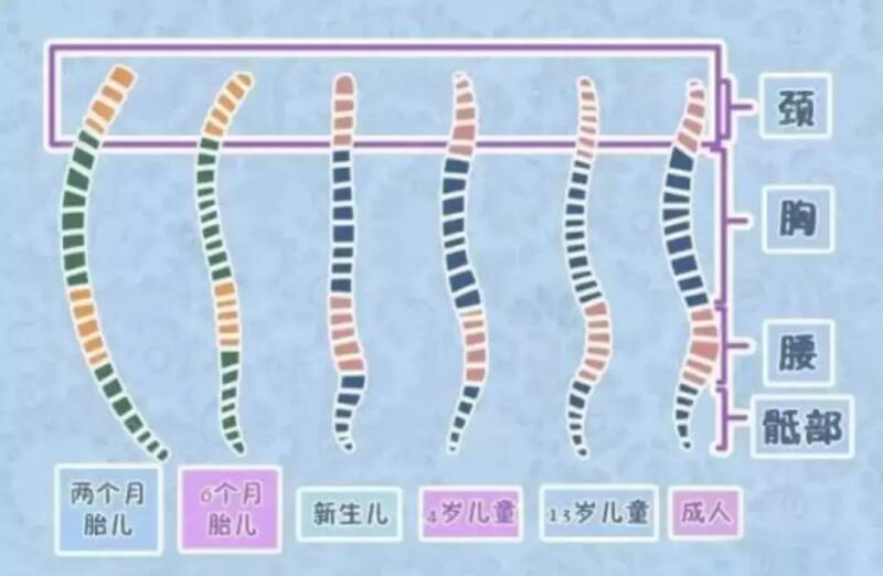 可以用定型枕来调整孩子的头型吗 用什么方法可以修正孩子的扁头