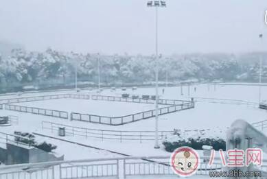 下雪了打雪仗图片句子说说 2022初雪打雪仗心情朋友圈