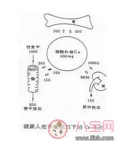 孩子补钙会上瘾吗 给孩子补钙过多又会什么影响