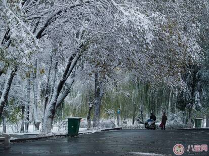 第一次看到下雪了发什么说说好 今年的第一场雪朋友圈怎么发