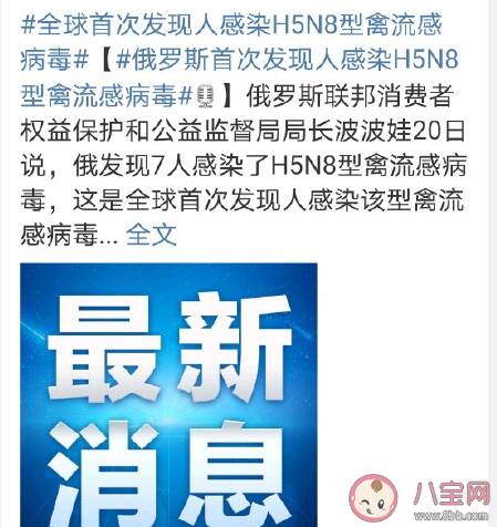 全球首次发现人感染H5N8型禽流感病毒是怎么回事 H5N8型禽流感病毒有什么危害