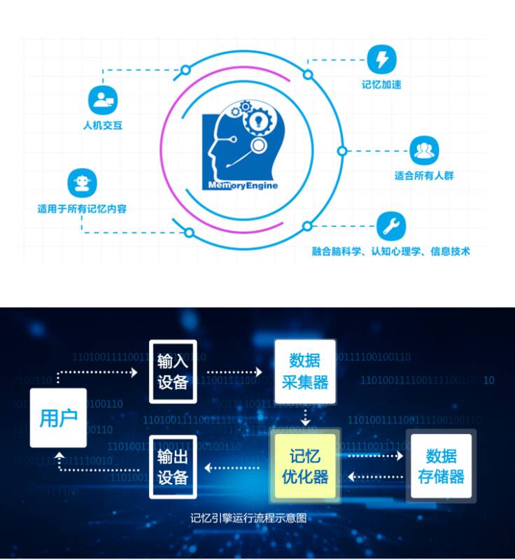 切莫盲目学习！ 红杉树智能英语科学助力提高英语学习效率