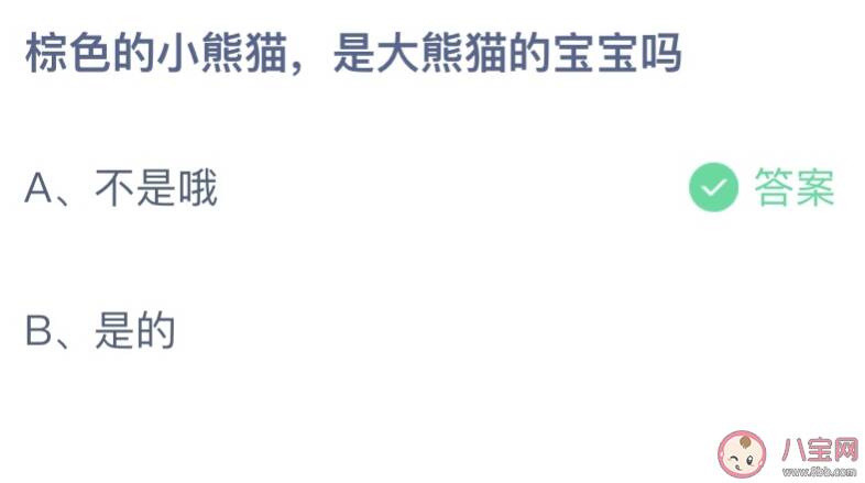 蚂蚁庄园棕色的小熊猫是大熊猫的宝宝吗 小课堂4月29日答案介绍