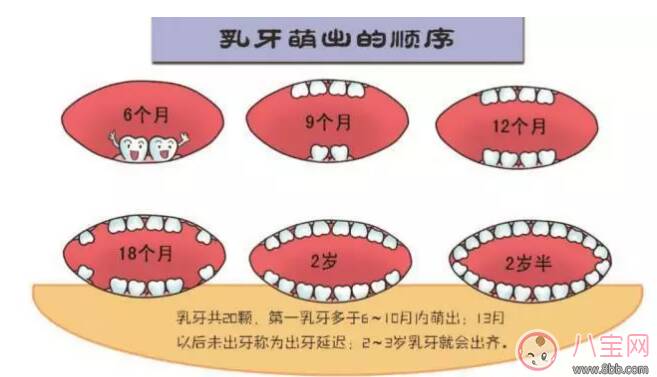 孩子长牙慢是缺钙吗 怎么正确护理长牙宝宝的牙